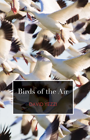 Birds of the Air