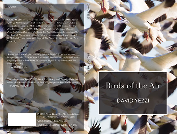 Birds of the Air