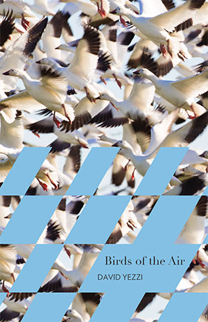 Birds of the Air