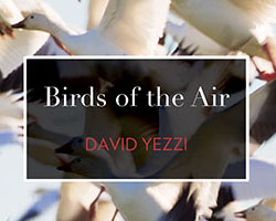 Birds of the Air